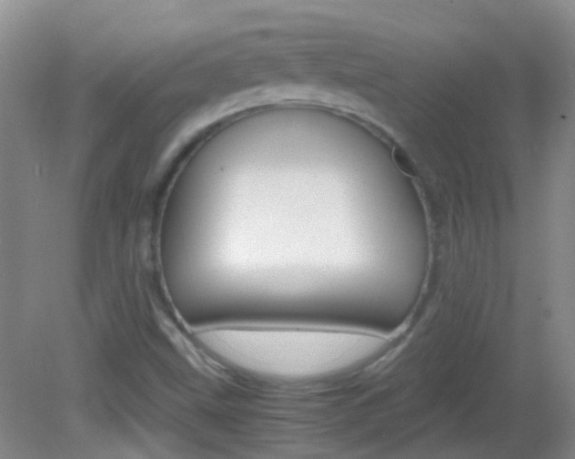 X0000083061499200702021022