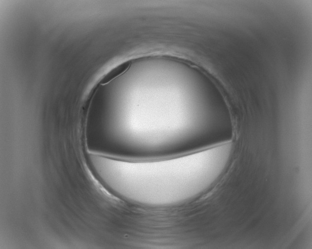 X0000083061500200702021022