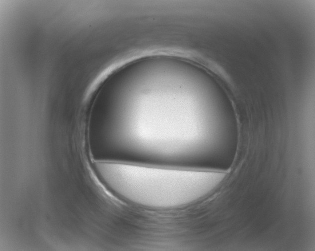 X0000083061504200702021022