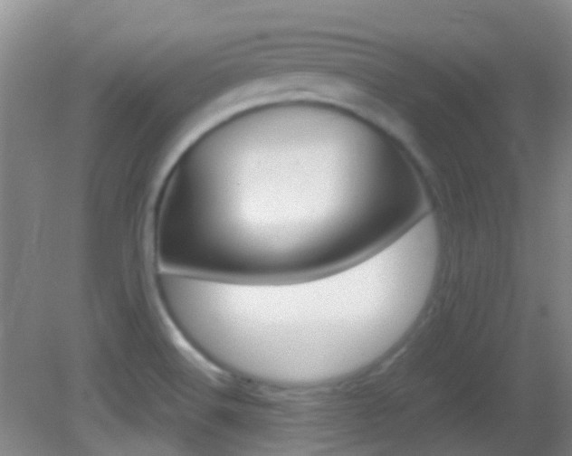 X0000083061516200702021022