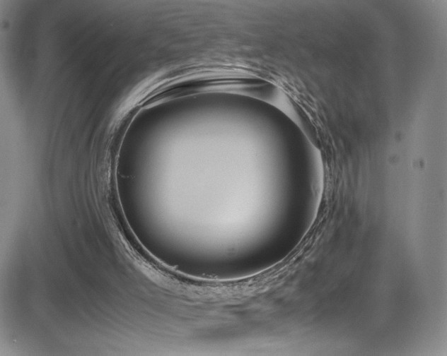 X0000083060005200702021255