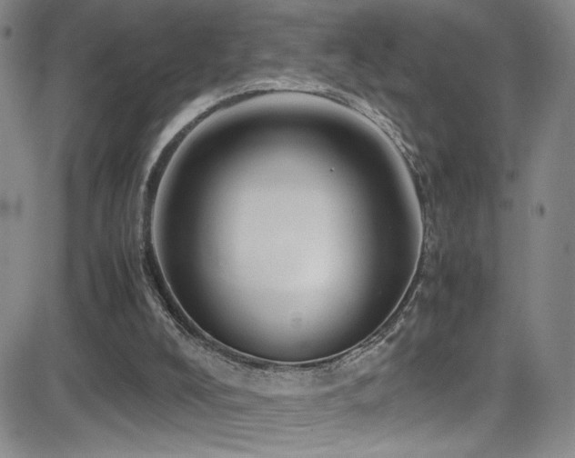 X0000083060008200702021255