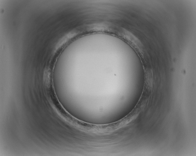 X0000083060016200702021255
