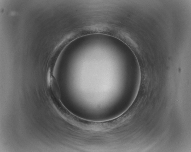 X0000083060020200702021255