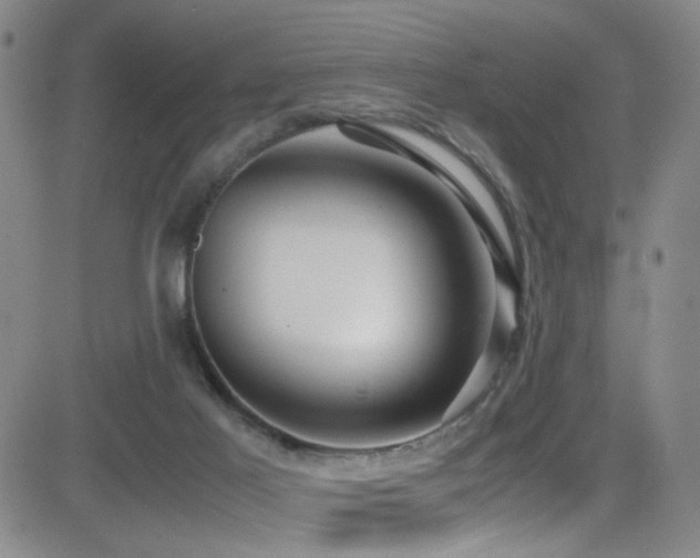 X0000083060021200702021255