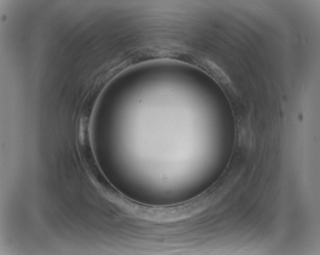 X0000083060026200702021255