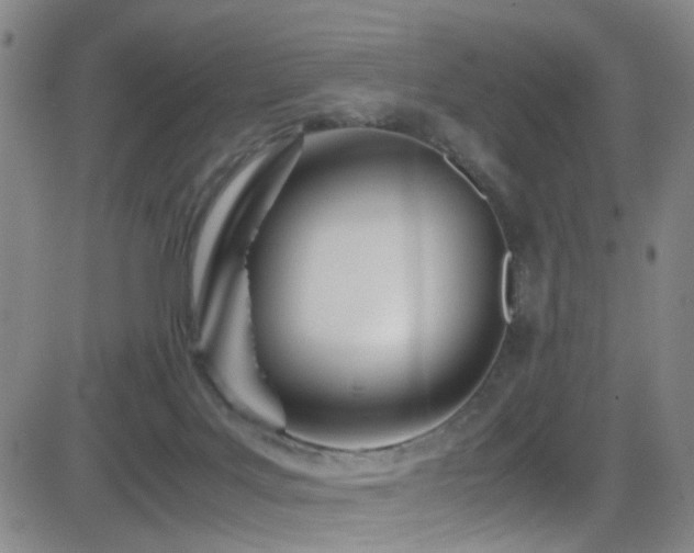 X0000083060027200702021255