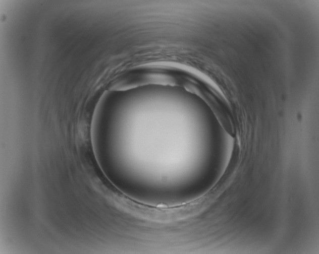 X0000083060035200702021254