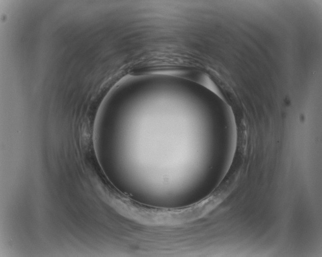 X0000083060040200702021254