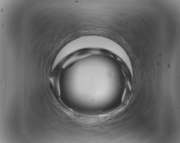 X0000083060045200702021254