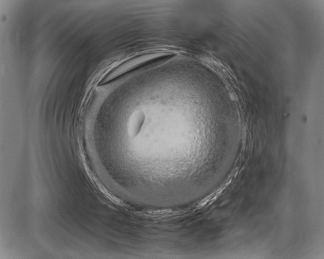 X0000083060049200702021253