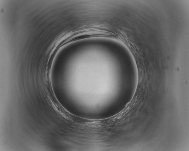 X0000083060050200702021253
