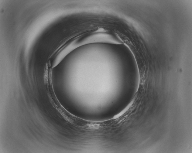X0000083060052200702021253