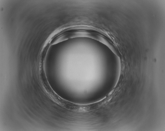 X0000083060056200702021254