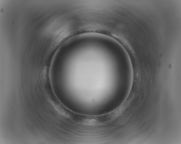 X0000083060066200702021254