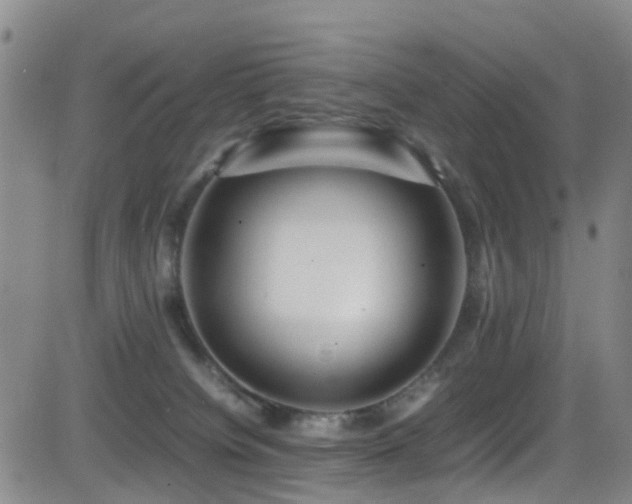 X0000083060084200702021254