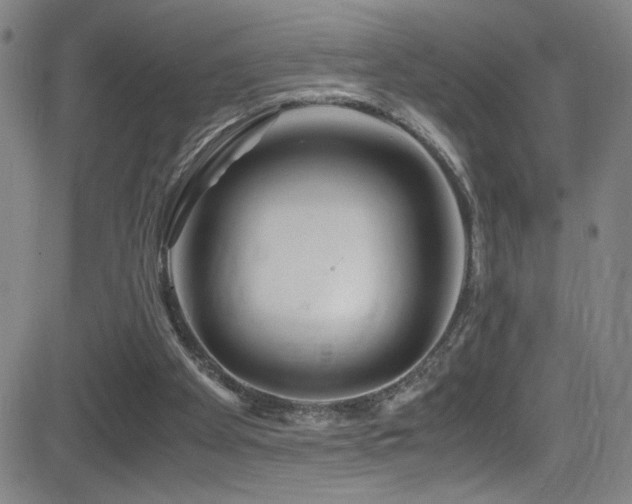 X0000083060105200702021253