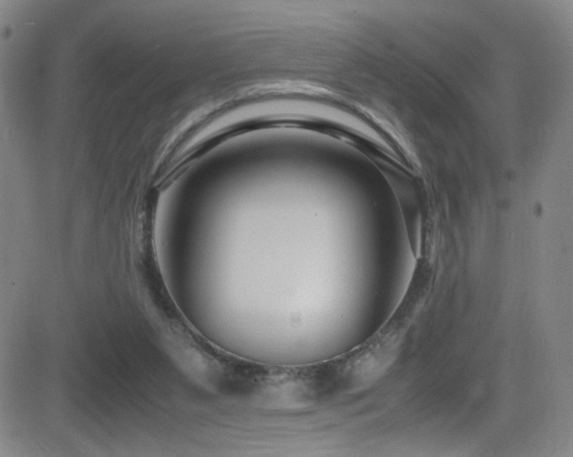 X0000083060111200702021253