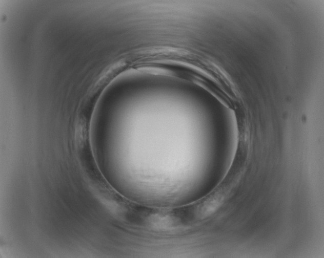 X0000083060119200702021253