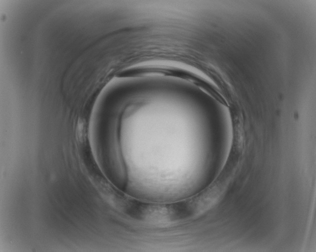 X0000083060123200702021253