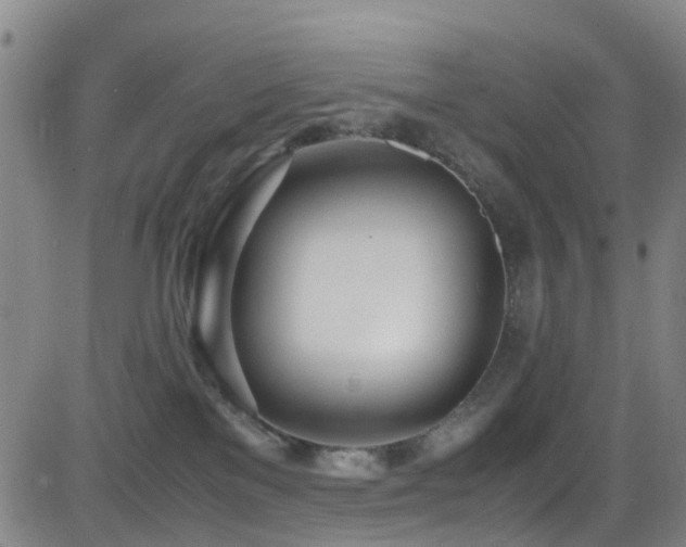X0000083060137200702021253