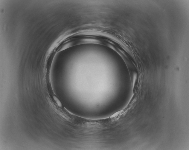 X0000083060150200702021252