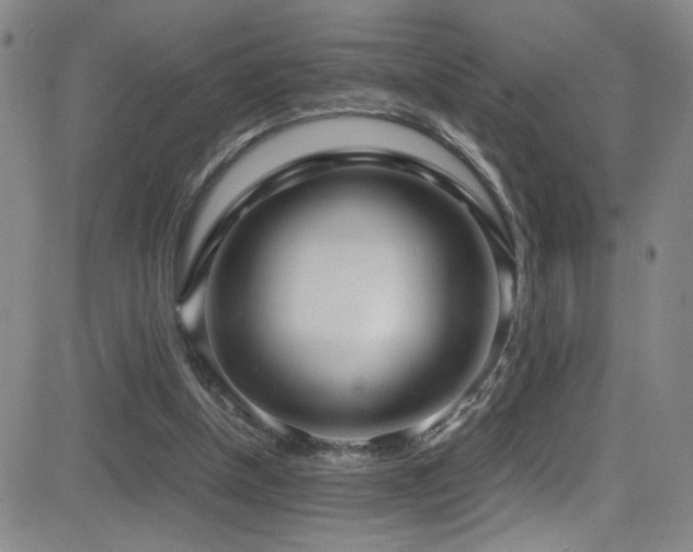 X0000083060154200702021252