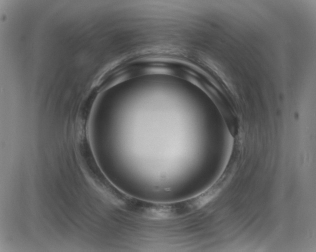 X0000083060164200702021252