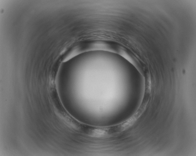 X0000083060176200702021252