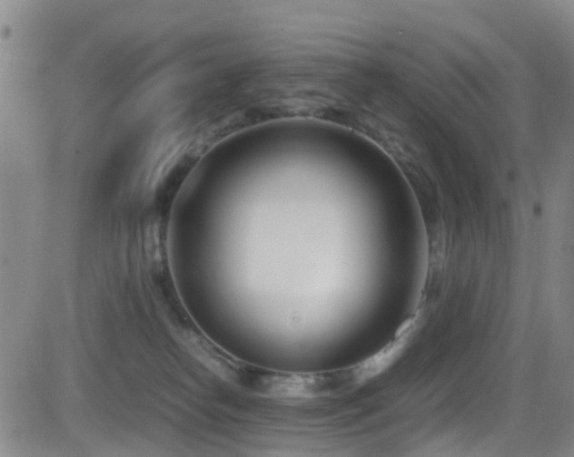 X0000083060182200702021252