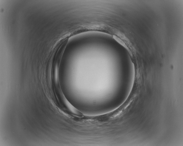 X0000083060201200702021252