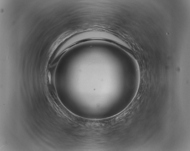 X0000083060242200702021250