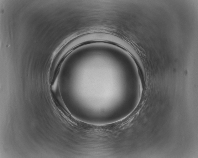 X0000083060244200702021250