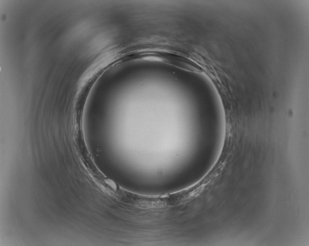 X0000083060245200702021250