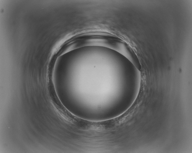 X0000083060248200702021250