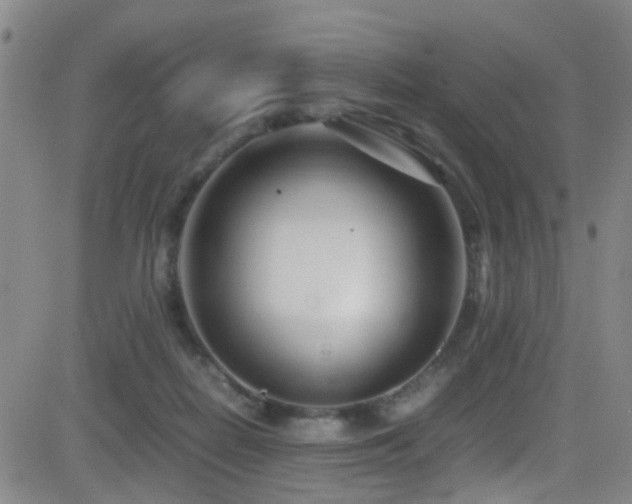 X0000083060266200702021251