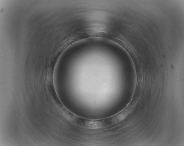 X0000083060277200702021251