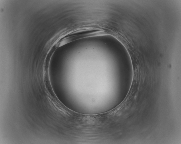 X0000083060290200702021250