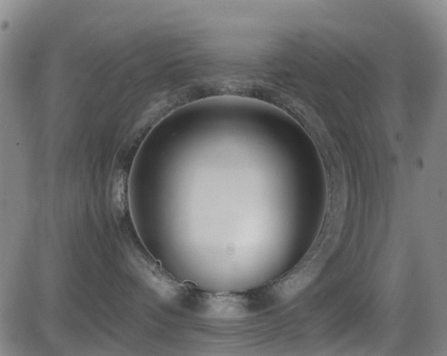 X0000083060336200702021249
