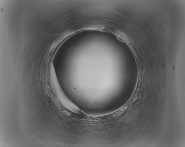 X0000083060337200702021249