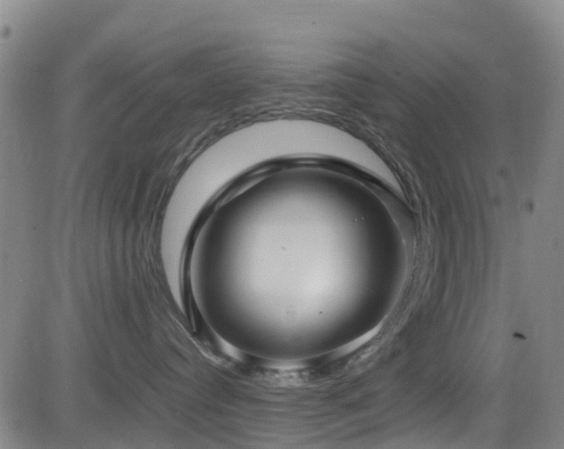 X0000083060384200702021249