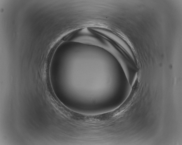 X0000083060387200702021249