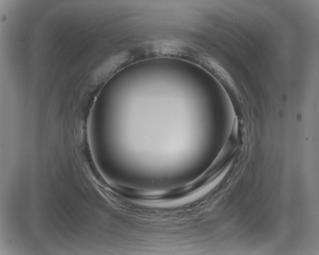 X0000083060401200702021248
