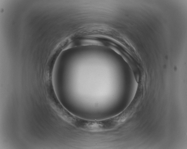 X0000083060407200702021248