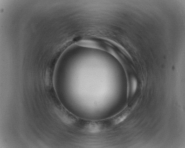 X0000083060416200702021248