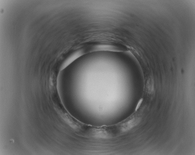 X0000083060424200702021248