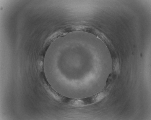 X0000083060427200702021248