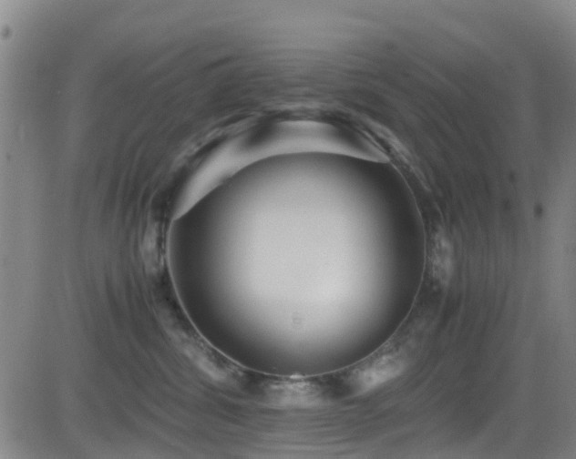 X0000083060428200702021248