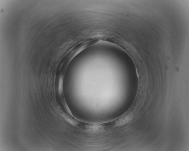 X0000083060432200702021248