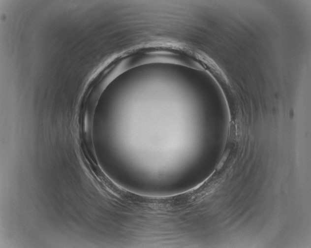 X0000083060436200702021247